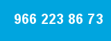 966 223 86 73